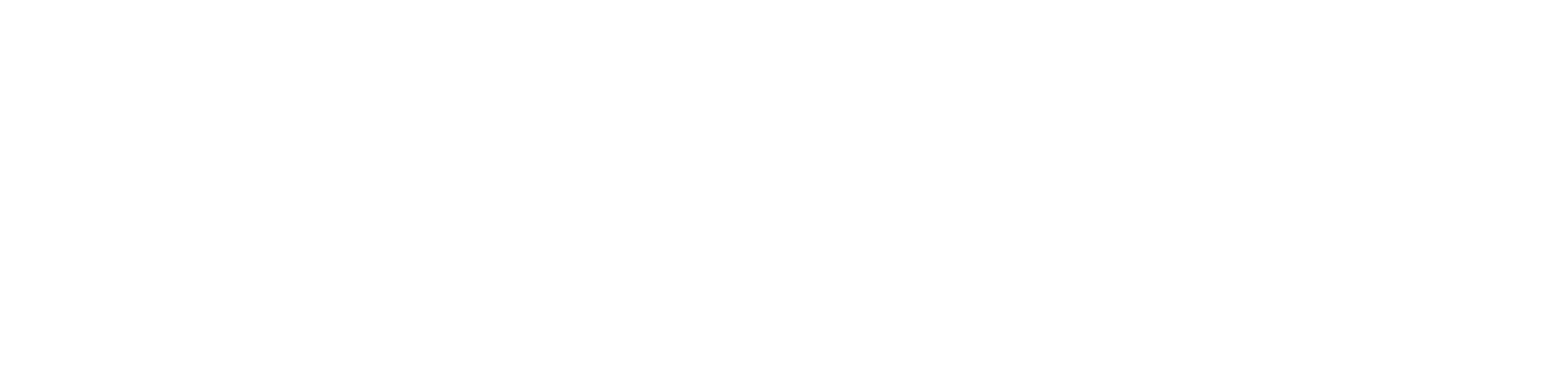 Adam D'Annunzio Logo White