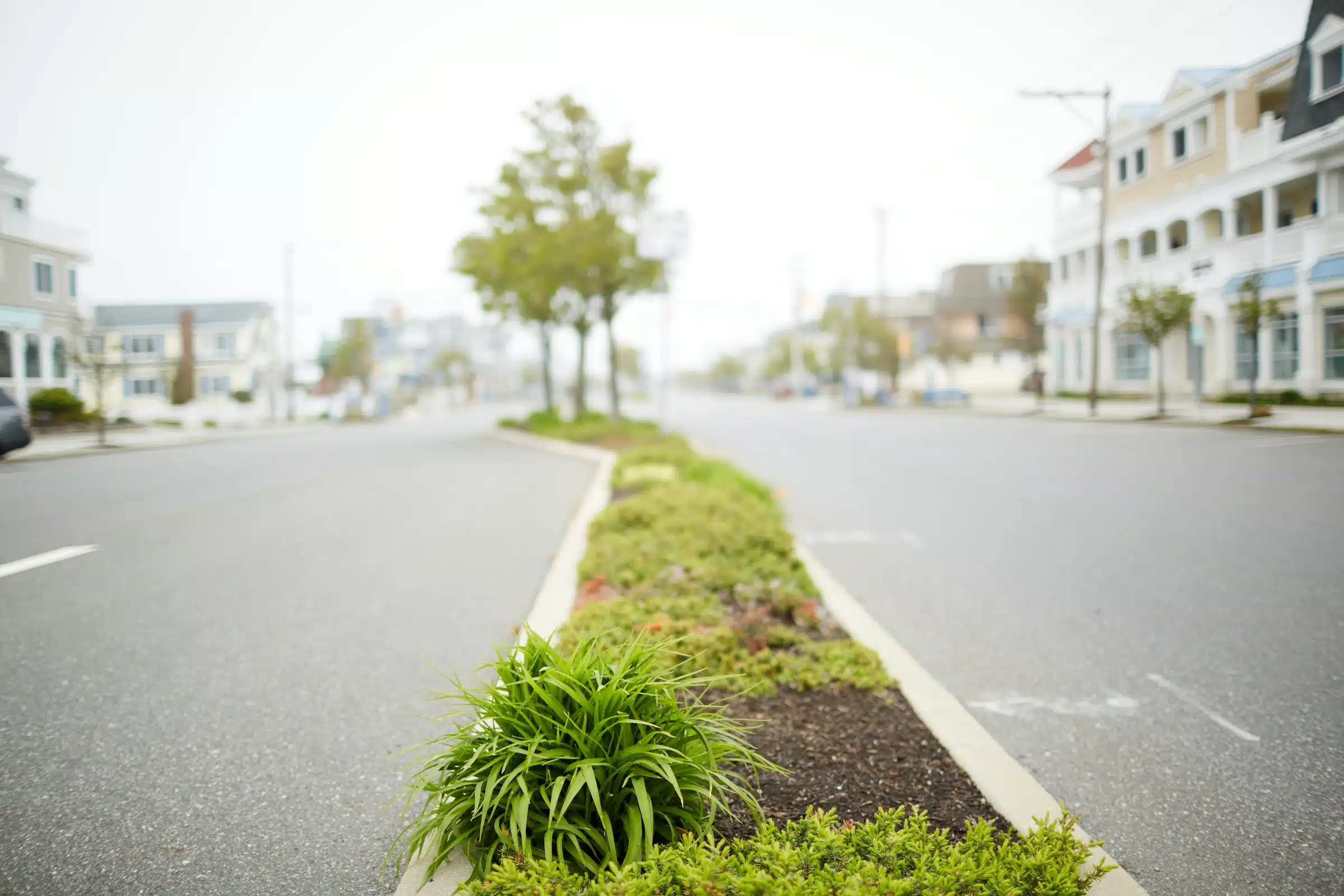 Dune Drive in Avalon, NJ with its planted center median